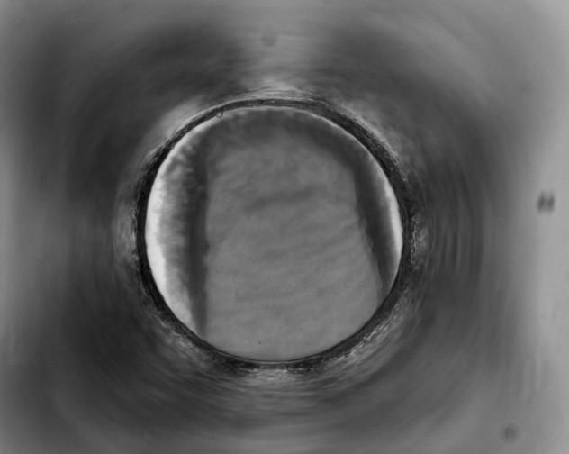 X0000103951455200810101427