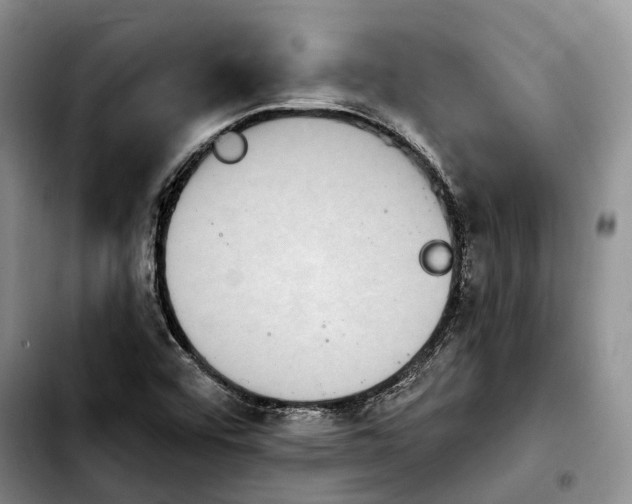 X0000103951456200810101427