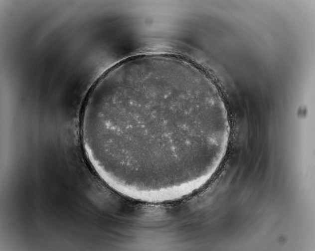 X0000103951457200810101427