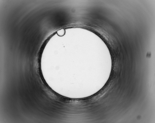 X0000103951458200810101427