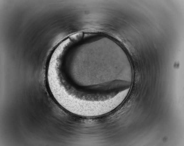 X0000103951459200810101427