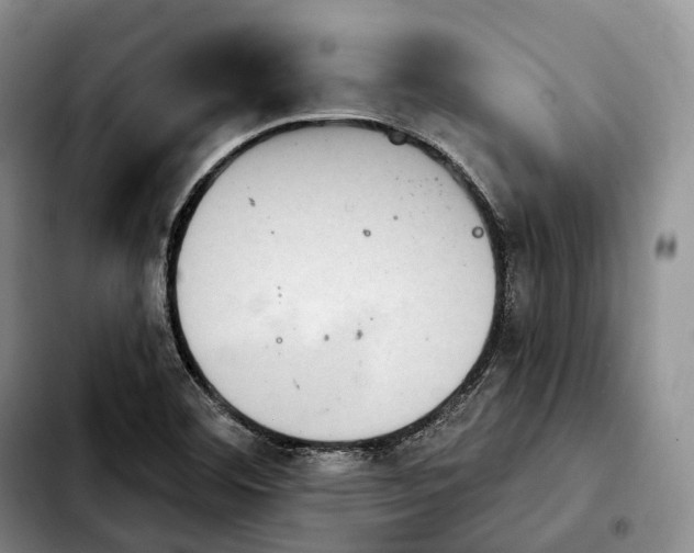 X0000103951460200810101427