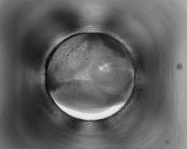 X0000103951461200810101427