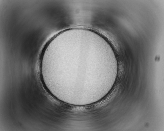 X0000103951462200810101427