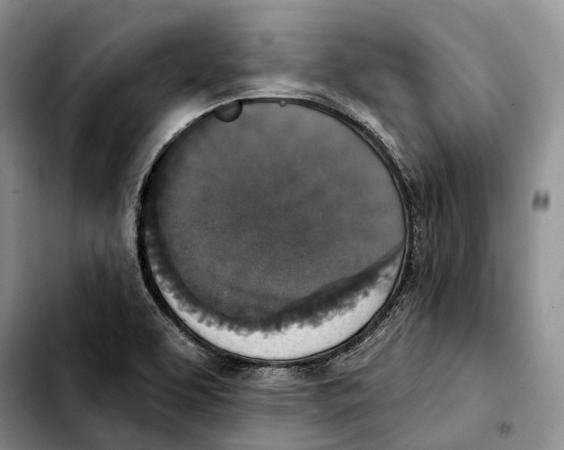 X0000103951463200810101427