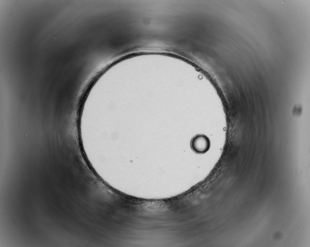 X0000103951464200810101427