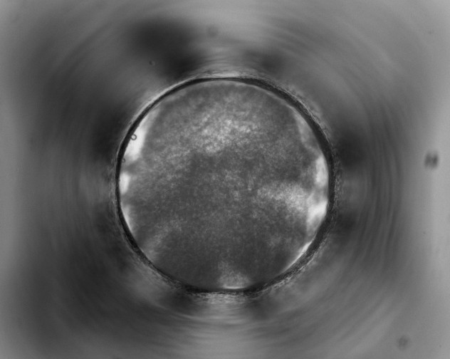 X0000103951465200810101427