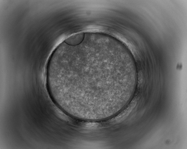 X0000103951467200810101427