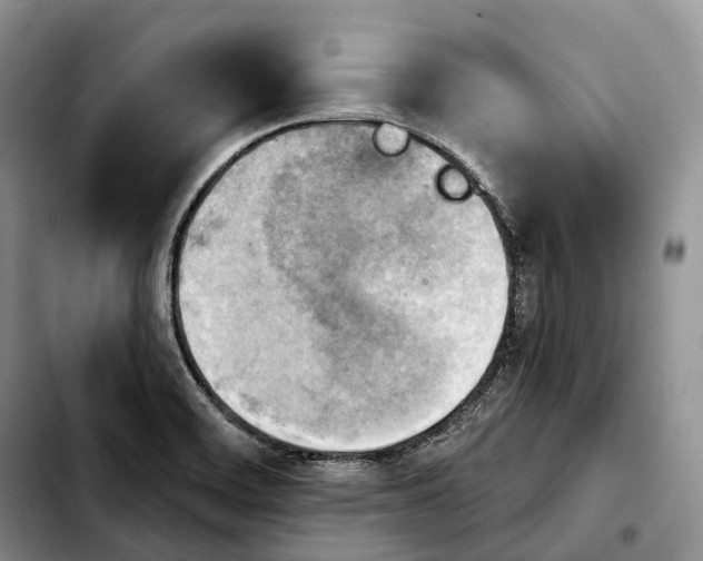 X0000103951468200810101427