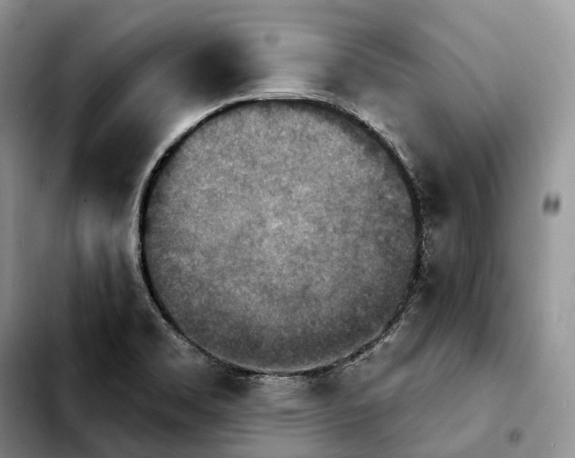 X0000103951469200810101427