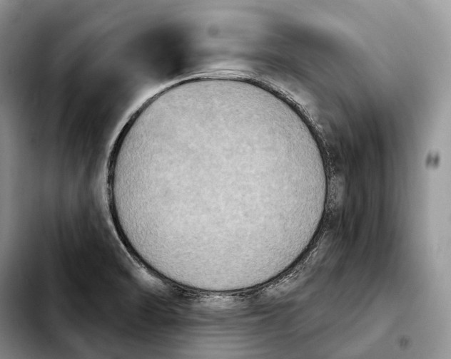 X0000103951470200810101427