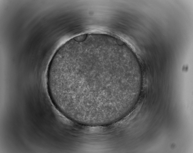 X0000103951471200810101427