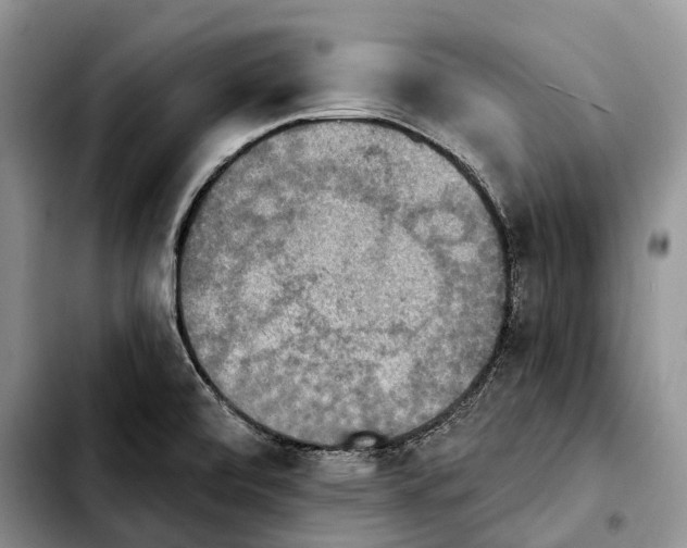 X0000103951472200810101427