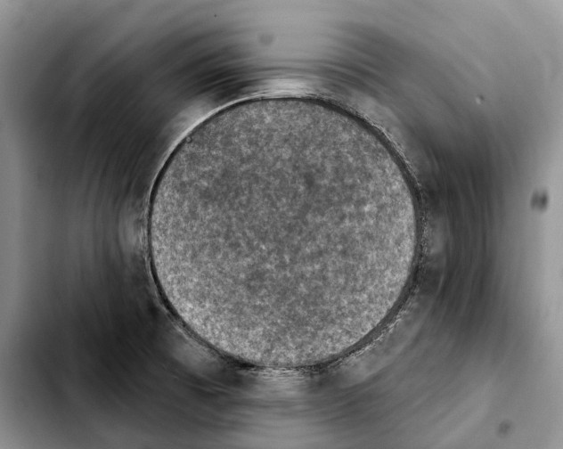 X0000103951473200810101427