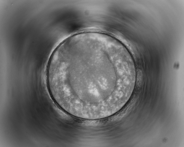 X0000103951474200810101427