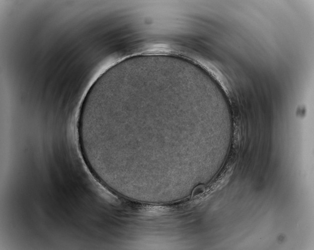 X0000103951475200810101427