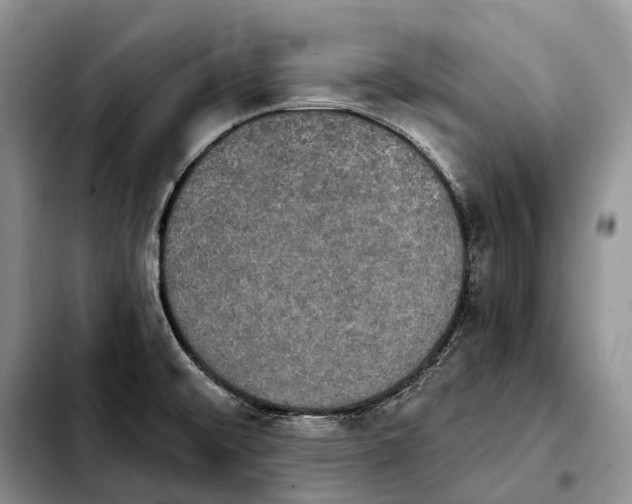 X0000103951476200810101427