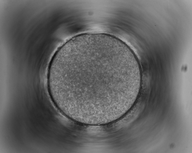 X0000103951477200810101427