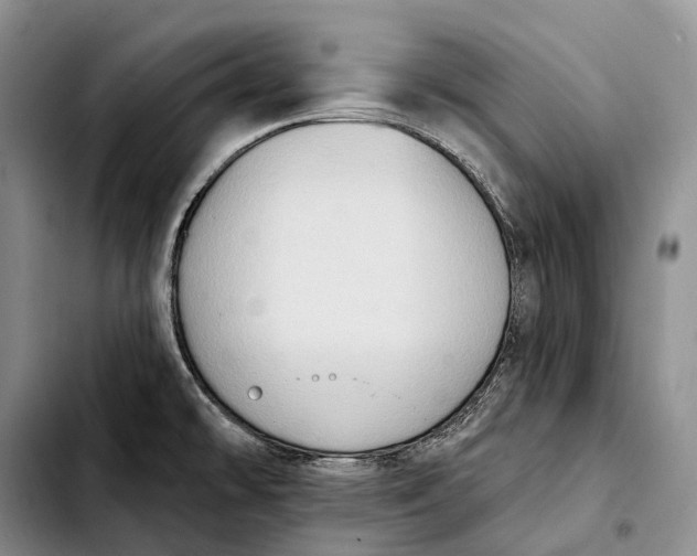 X0000103951478200810101427