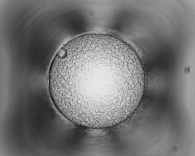 X0000103951479200810101427