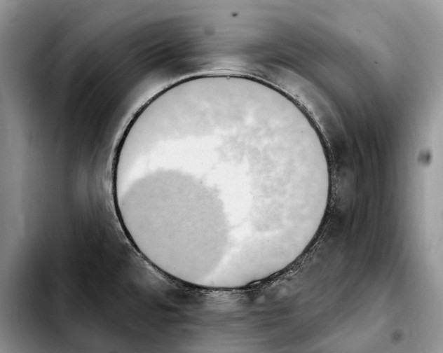 X0000103951480200810101427