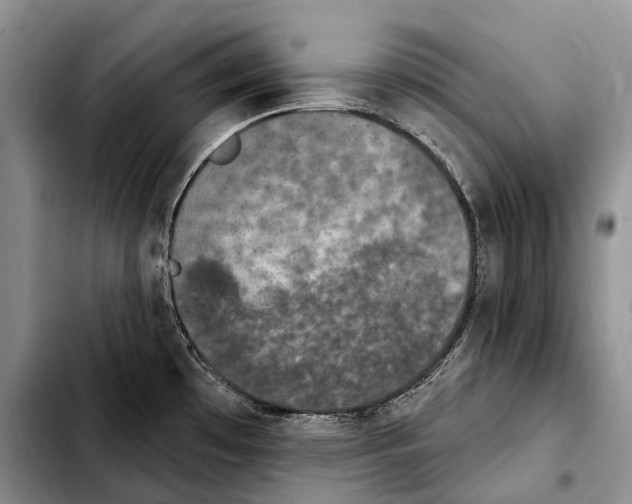 X0000103951481200810101427