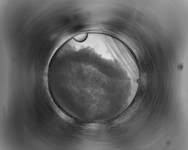 X0000103951482200810101427