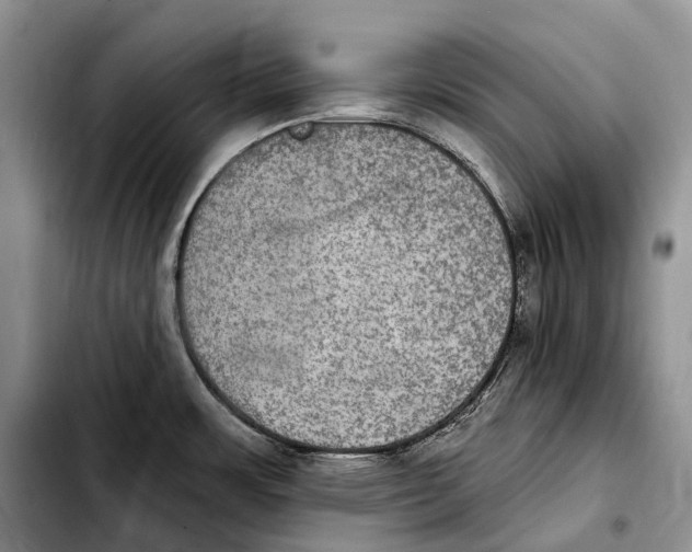 X0000103951483200810101427