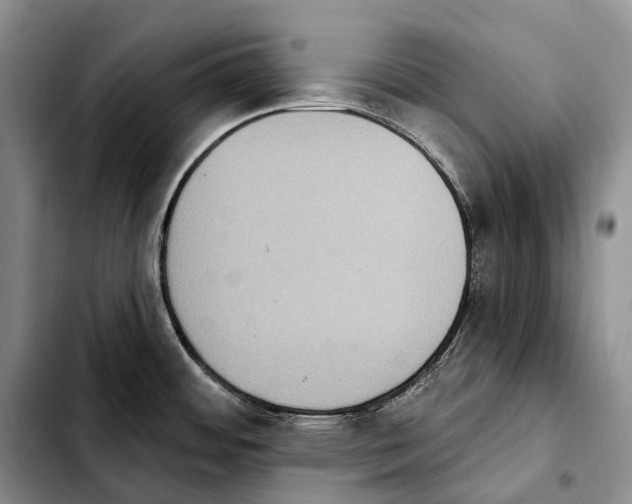 X0000103951484200810101427