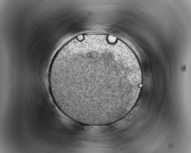 X0000103951485200810101427