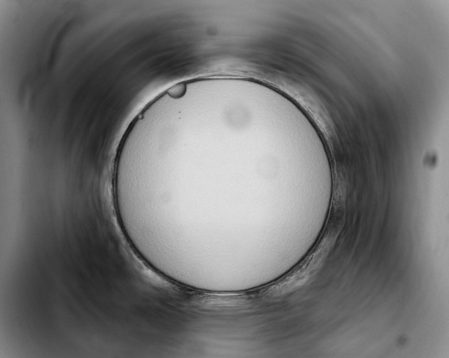 X0000103951486200810101427