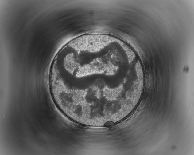 X0000103951487200810101427