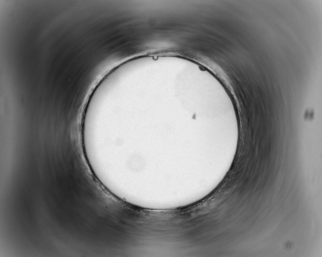 X0000103951488200810101427