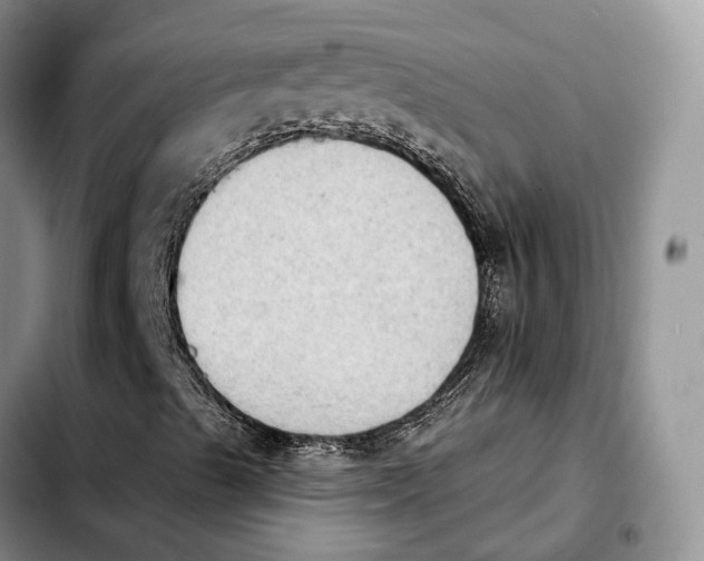 X0000103951489200810101426