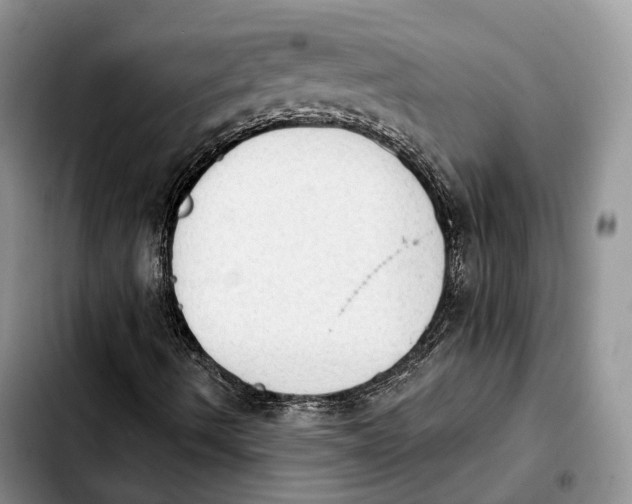 X0000103951490200810101426