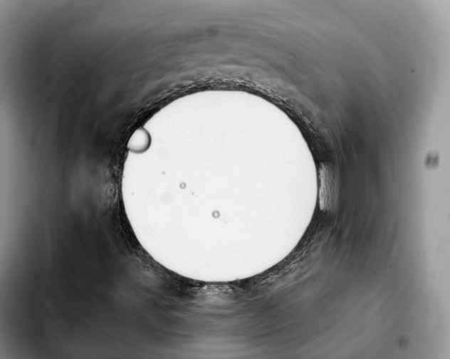 X0000103951491200810101426