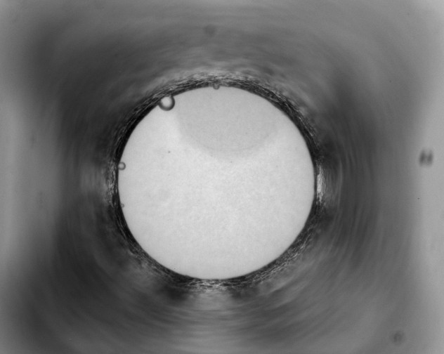 X0000103951492200810101426