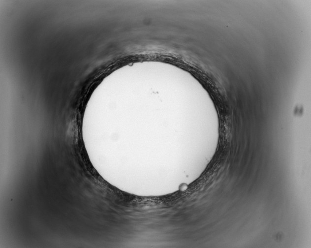 X0000103951493200810101426