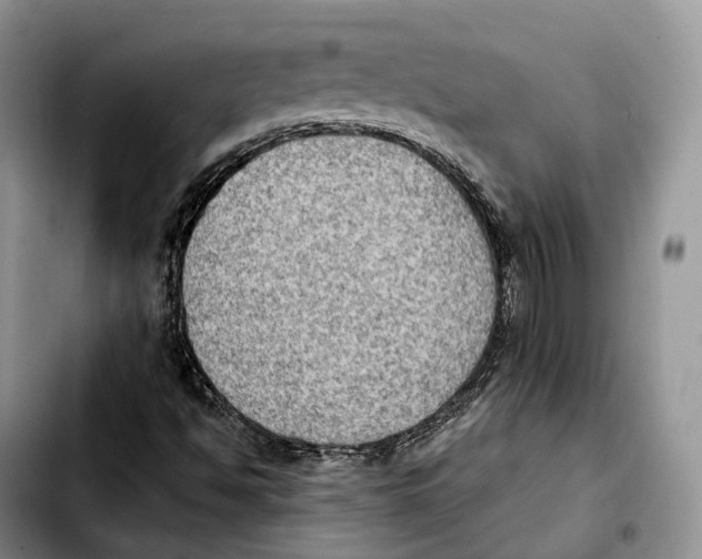 X0000103951494200810101426