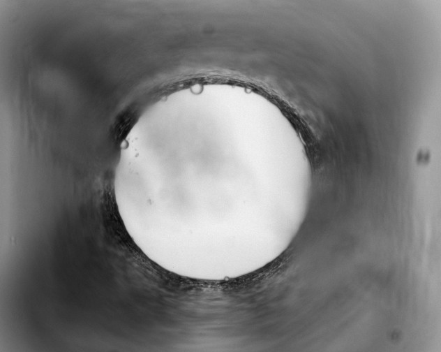 X0000103951495200810101426