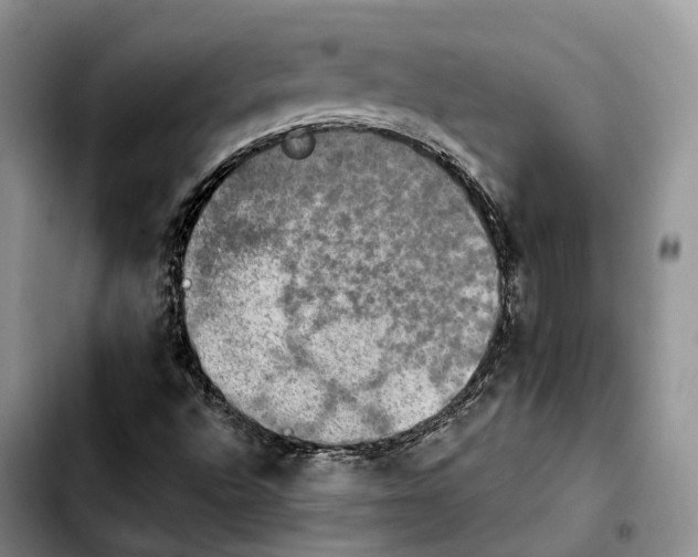 X0000103951496200810101426