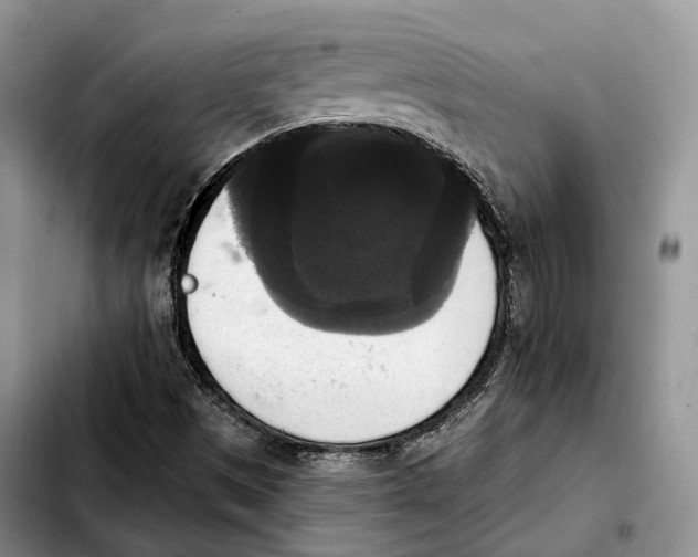 X0000103951497200810101426