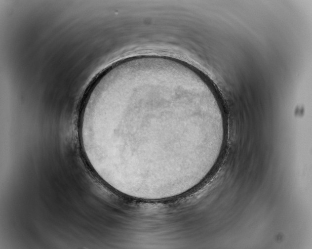 X0000103951498200810101426