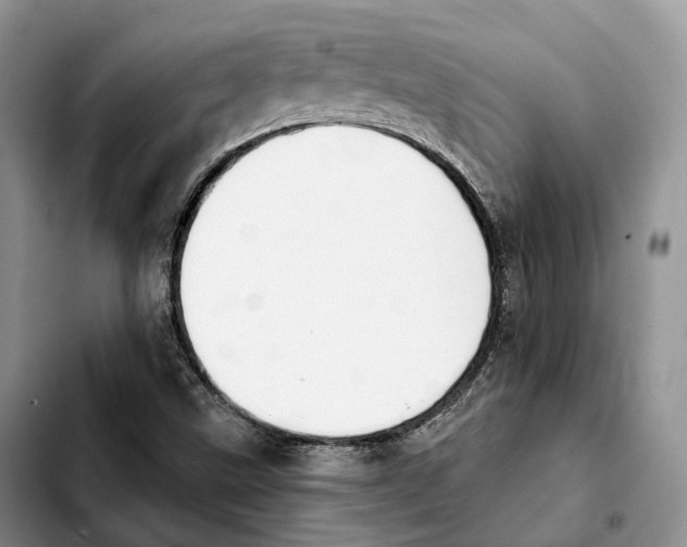 X0000103951499200810101426