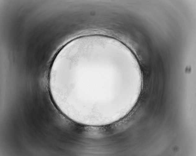 X0000103951500200810101426