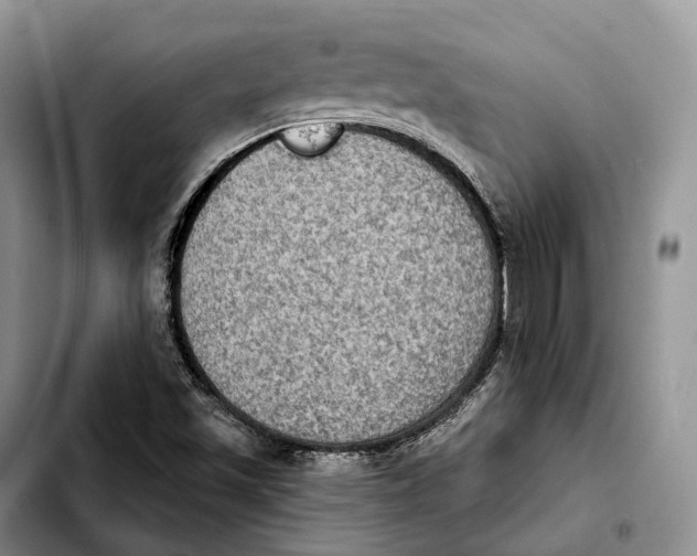 X0000103951501200810101426