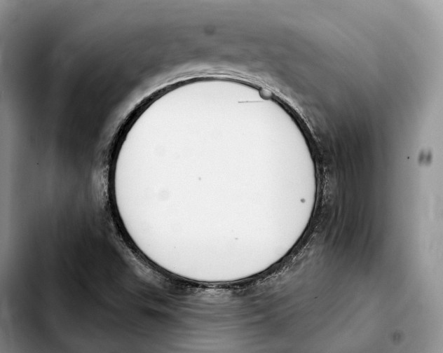 X0000103951503200810101426