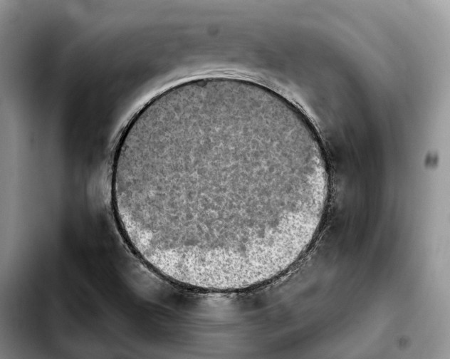 X0000103951504200810101426