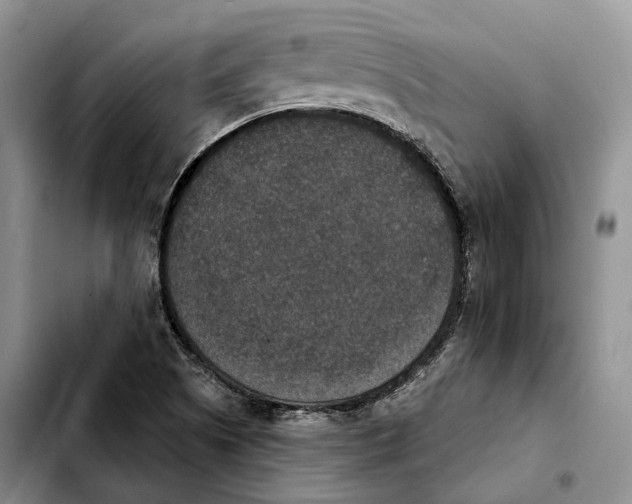 X0000103951505200810101426