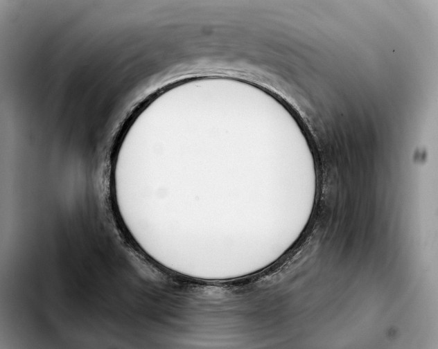 X0000103951507200810101426